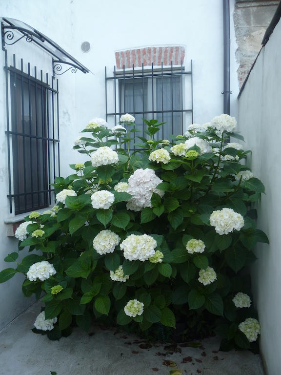 L'Adele Bed & Breakfast Occimiano Exterior foto