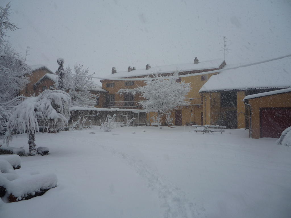 L'Adele Bed & Breakfast Occimiano Exterior foto