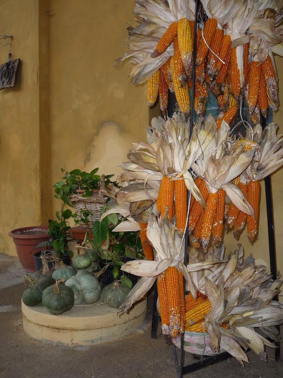 L'Adele Bed & Breakfast Occimiano Exterior foto